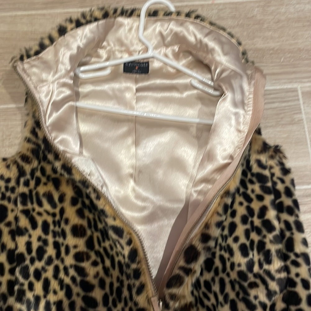 Crewcuts - Picture 3 of 3